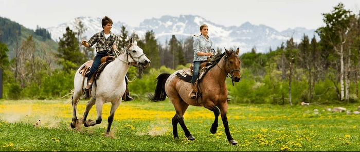 Confident plus-size woman riding Leighton Buzzard a horse through a field with a smile on her face.